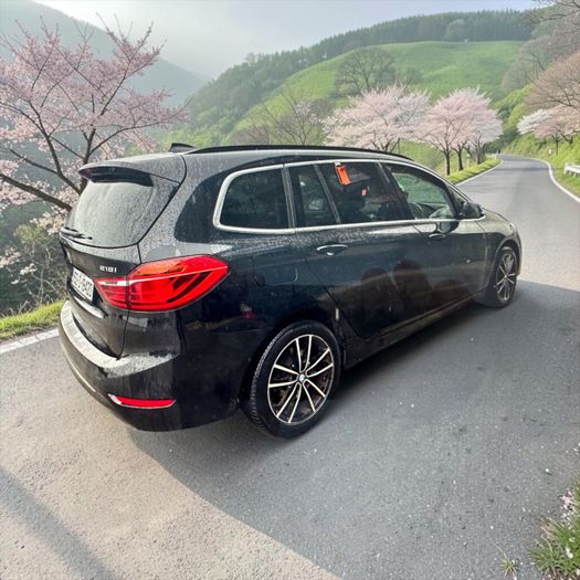 BMW 2 Series 2015