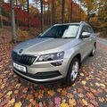 Skoda Karoq 2019