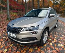 Skoda Karoq 2019