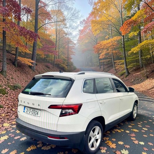 Skoda Karoq 2021