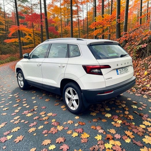 Skoda Karoq 2021