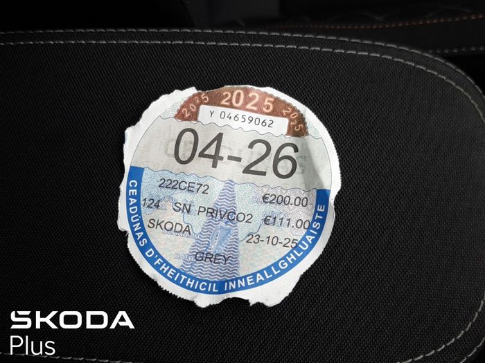 Skoda Kamiq 2022
