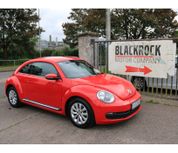 Volkswagen Beetle 2013