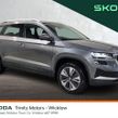 Skoda Karoq 2024