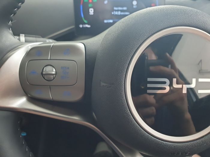 BYD DOLPHIN 2025