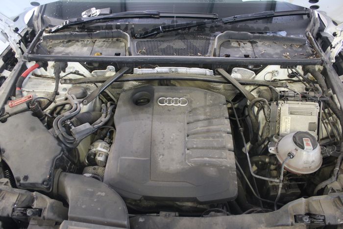 Audi Q5 2021