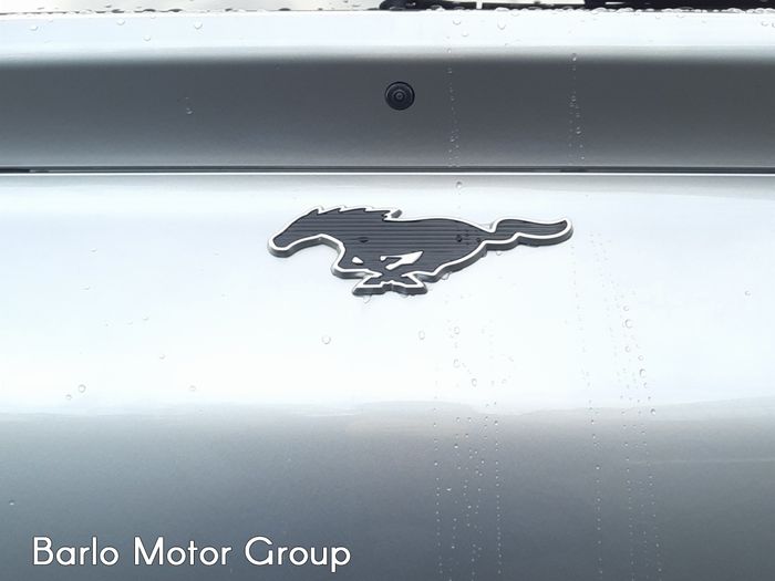 Ford Mustang Mach-E 2021
