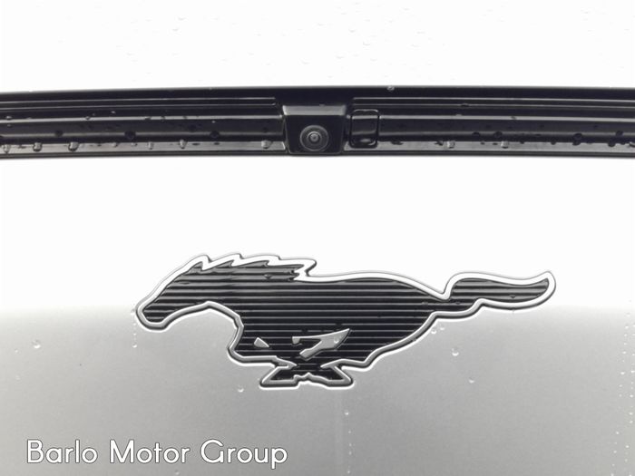 Ford Mustang Mach-E 2021