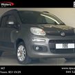 Fiat Panda 2020