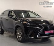 Lexus NX 2020