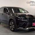 Lexus NX 300h 2019