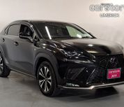 Lexus NX 300h 2019