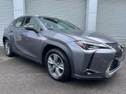 Lexus UX250h 2019