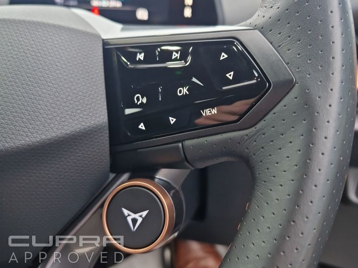 Cupra Tavascan 2025