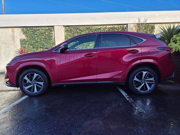 Lexus NX 300h 2020
