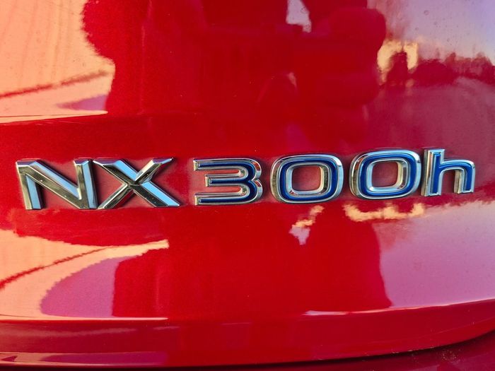 Lexus NX 300h 2020