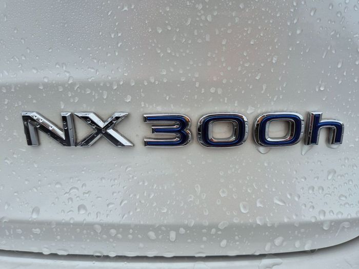 Lexus NX 300h 2021
