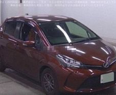 Toyota Vitz 2014
