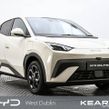 BYD DOLPHIN SURF 2026