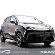 BYD DOLPHIN SURF 2026