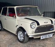 Rover Mini 1991