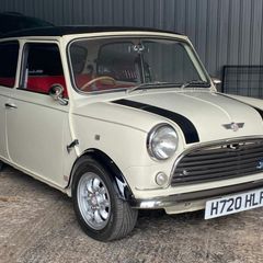 Rover Mini 1991