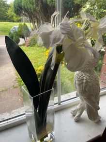 Beautiful vase