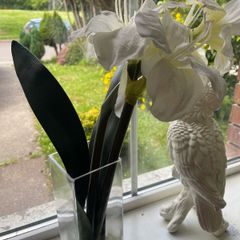 Beautiful vase