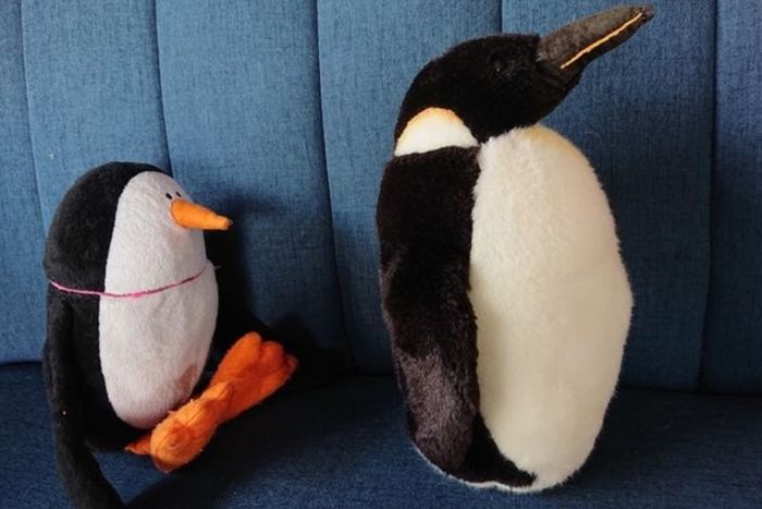 Atlanta Braves / Penguin Soft Toys