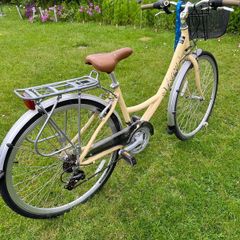 Ladies citybike