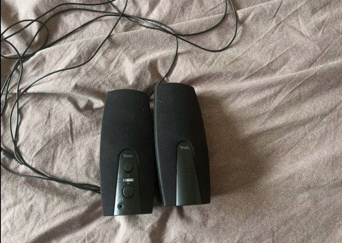 MSI 25 100Hz Monitor and trust Speakers