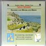 Reader's Digest - Nature Notebooks - Seaside & Moorland Birds  - And - River, Wetland & Lowland Birds (2 Books) Image 4