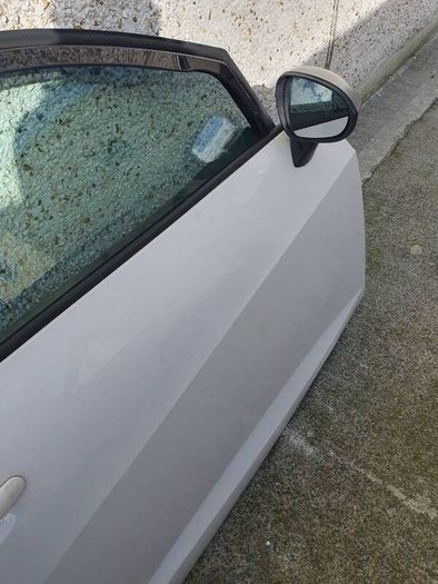 seat ibiza door