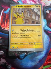 Pikachu at the museum (Jumbo)
