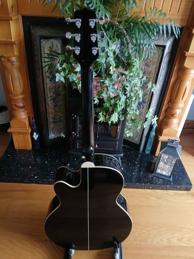 Takamine EG541 SSC Semi Acoustic and carry bag