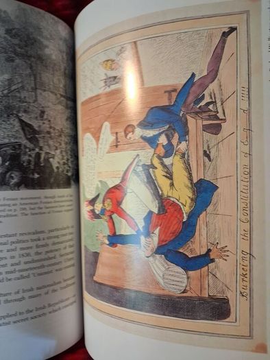 The Oxford Illustrated History of Ireland / 1994