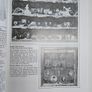 Ould Acquaintance - Tom Neary - Vintage Guide to Knock Folk Museum Book - Mayo History Book Image 2