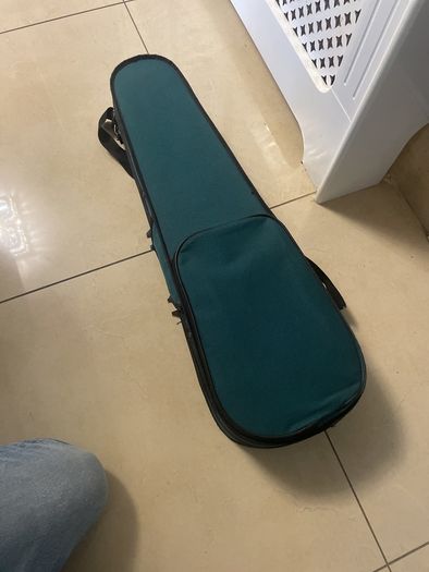 violin