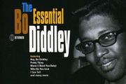 Free Postage! The Essential Bo Diddley. CD.
