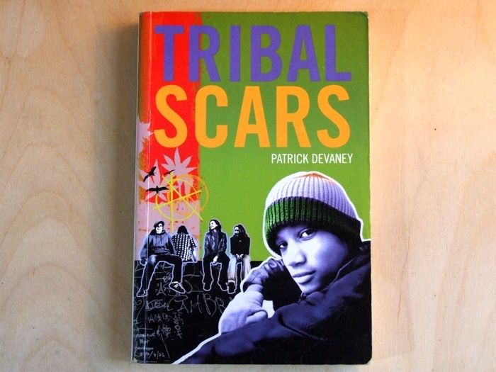 Novels by Irish children's authors