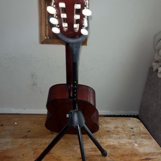 Guitars