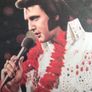 Framed Elvis picture Image 2