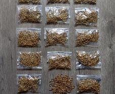 1500 Small Brass Cup Hooks