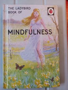The Ladybird Book of Mindfulness