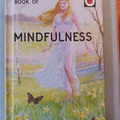 The Ladybird Book of Mindfulness