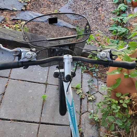 bike, ladies or teen bicycle