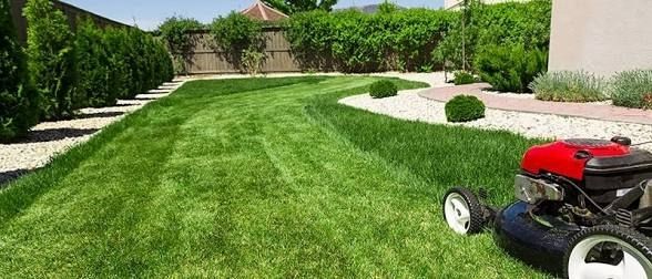 garden services