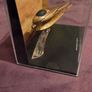 Star Wars " Geonosian Fighter" Model Image 3