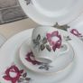 Beautiful Set of Three Teacup and Saucer Duos by Arklow Pottery in the Very Popular and Collectable "Autumn Rose" Pattern Image 9