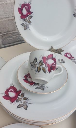 Beautiful Set of Six Large Dinner Plates by Arklow Pottery in the Very Popular and Collectable "Autumn Rose" Pattern